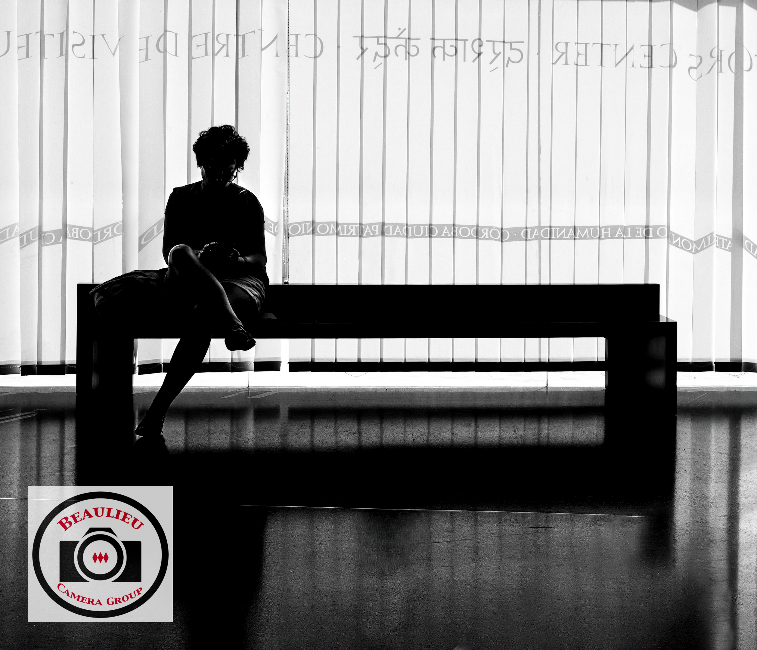 Alan_Price_Seated_Female_Figure.jpg