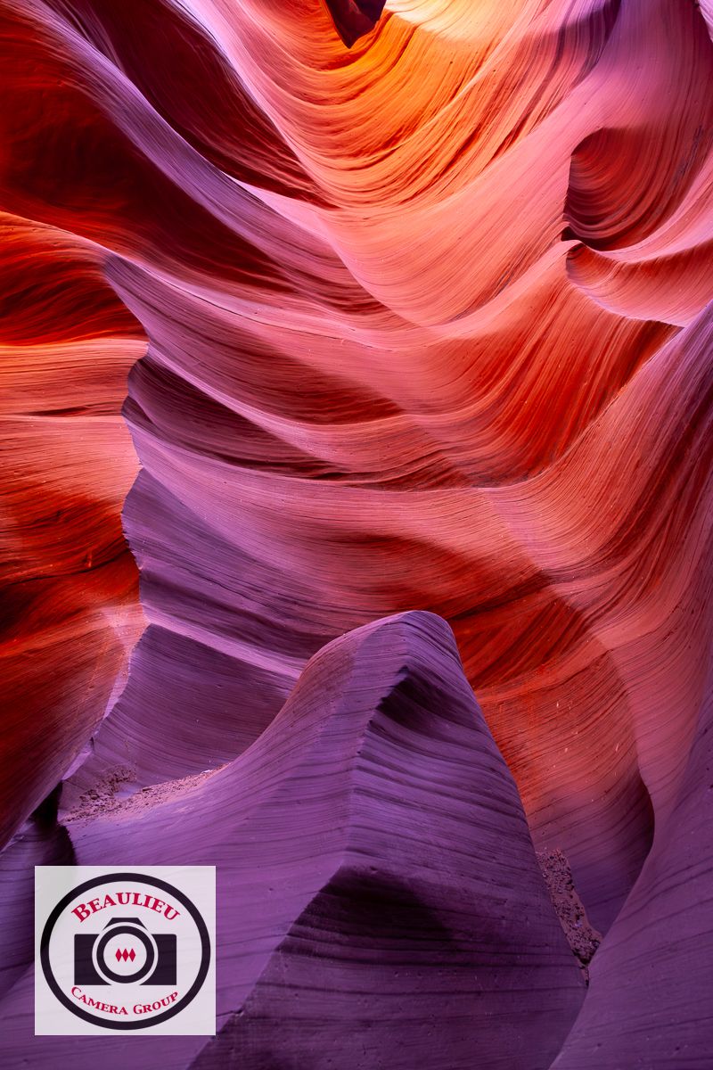 Ian Bateson Natural Shapes