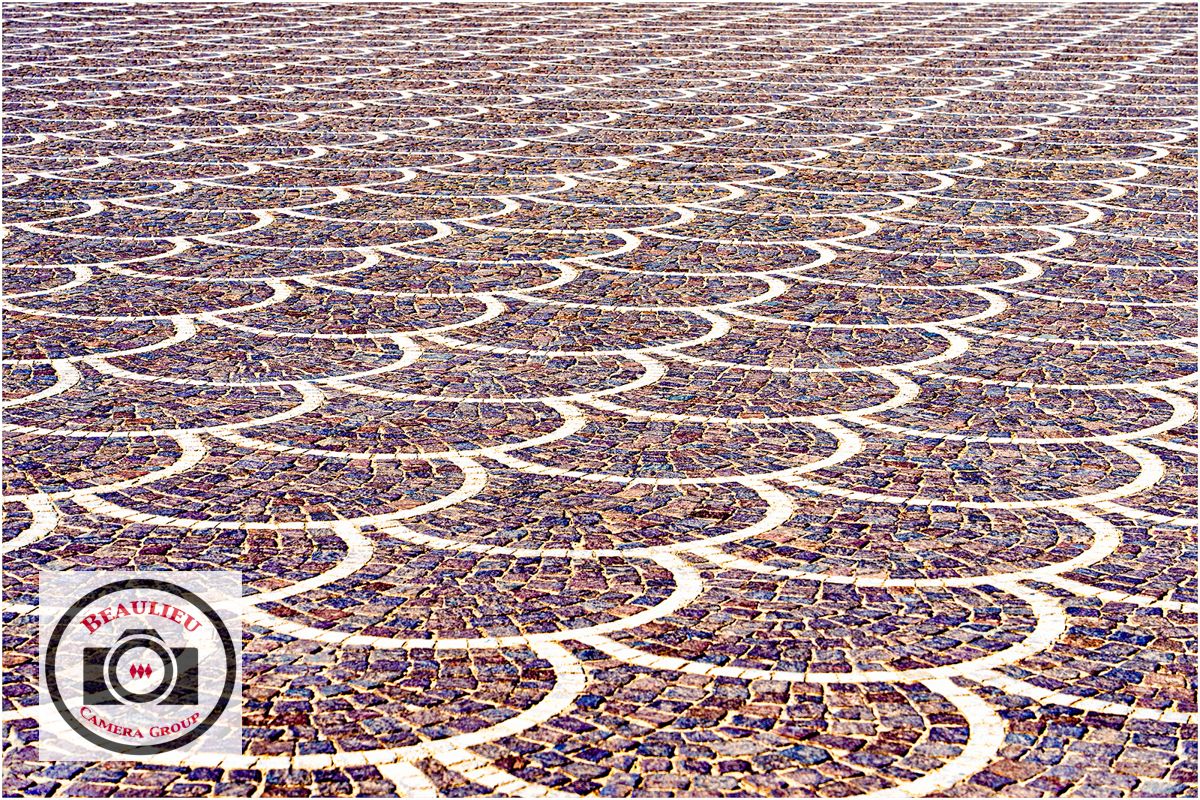 Maggie White The Plaza