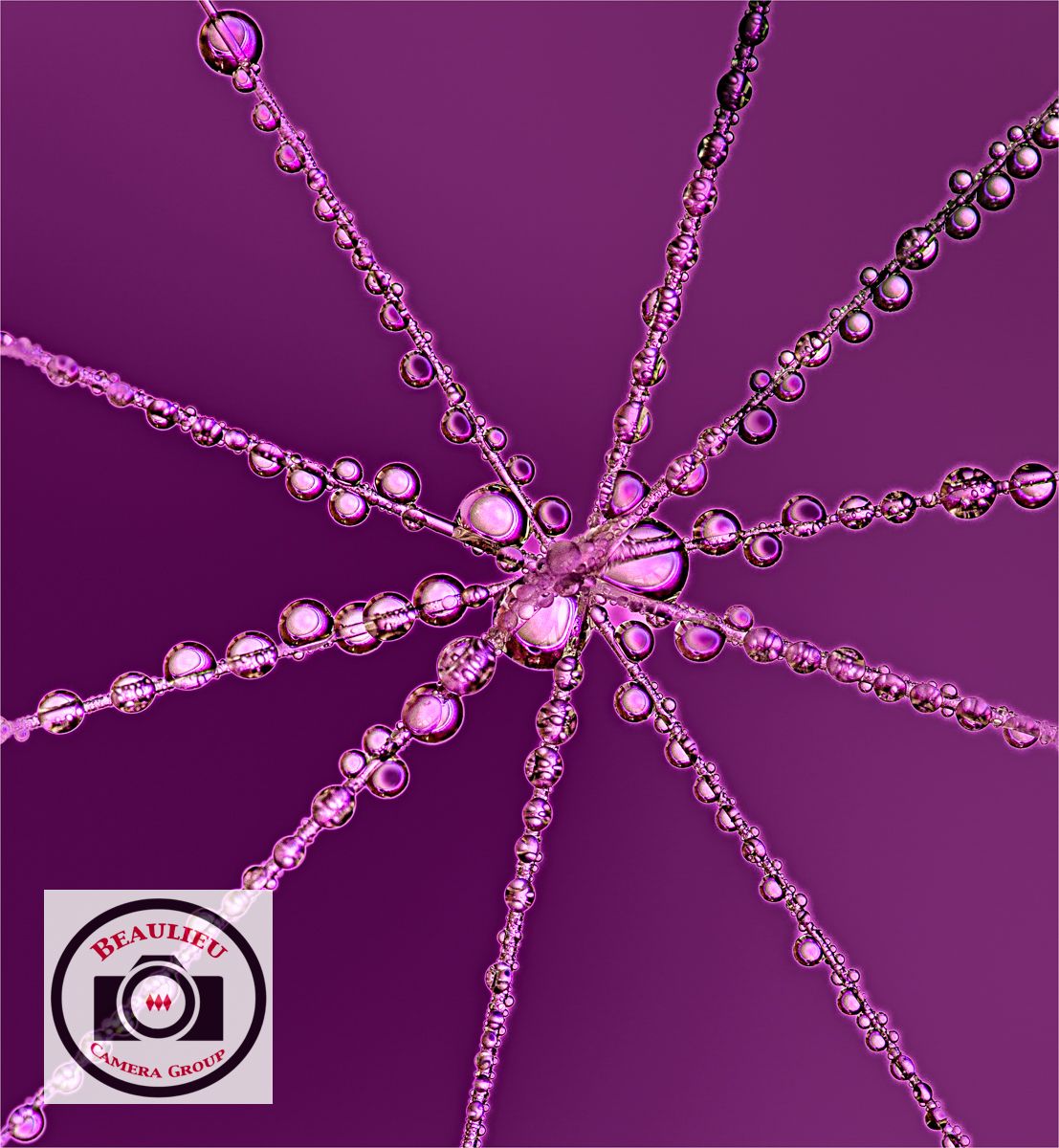 Sue Dunham Amethyst Water Droplets