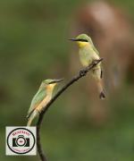 Bob-Abbott-Bringing-a-Gift