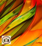 10-Ian-Park-Glass