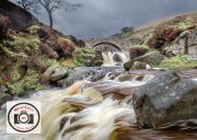 Alan-Price-Bridge-Over-Troubled-Water