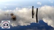 Ian-Park-Reflecting-Pool