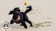 Maggie-White-Catch