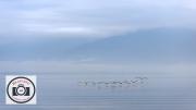 Bob-Abbott-Ethereal-Landscape